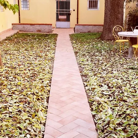 Charming Vintage By Piazza Maggiore With Garden 公寓 博洛尼亚